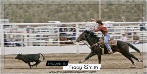 Calf roping Tri-County High School Rodeo Calf roping Tri-County High School Rodeo